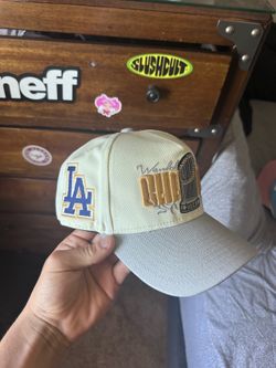 $20 hats brand new make an offer