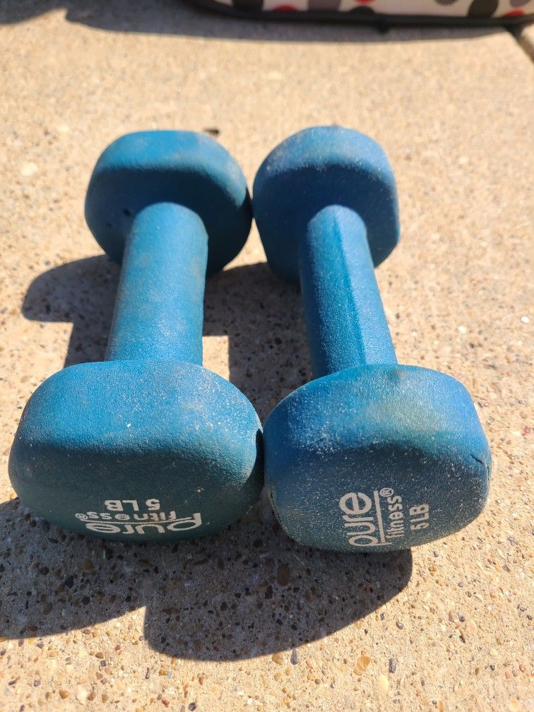 5lb Weights - BLUE