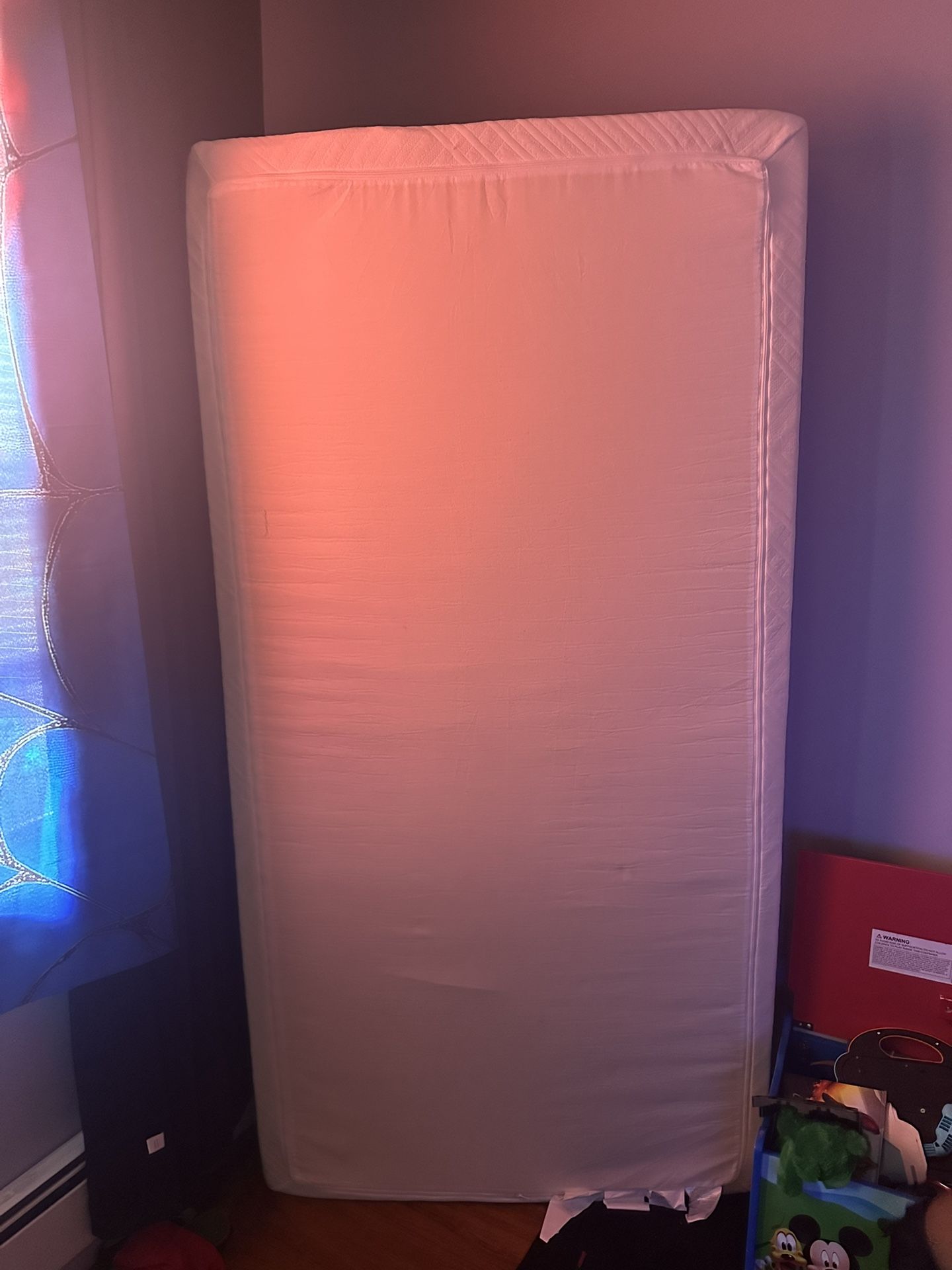 Adult Twin Size Mattress 