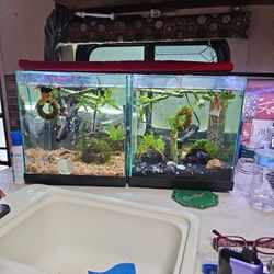 Aquarium 6 Gallon