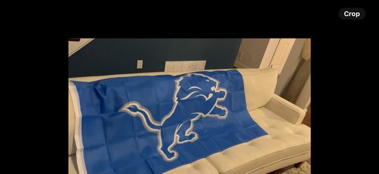 BRAND NEW LARGE 3x5 DETROIT LIONS FLAGS