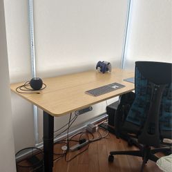 Standing Desk