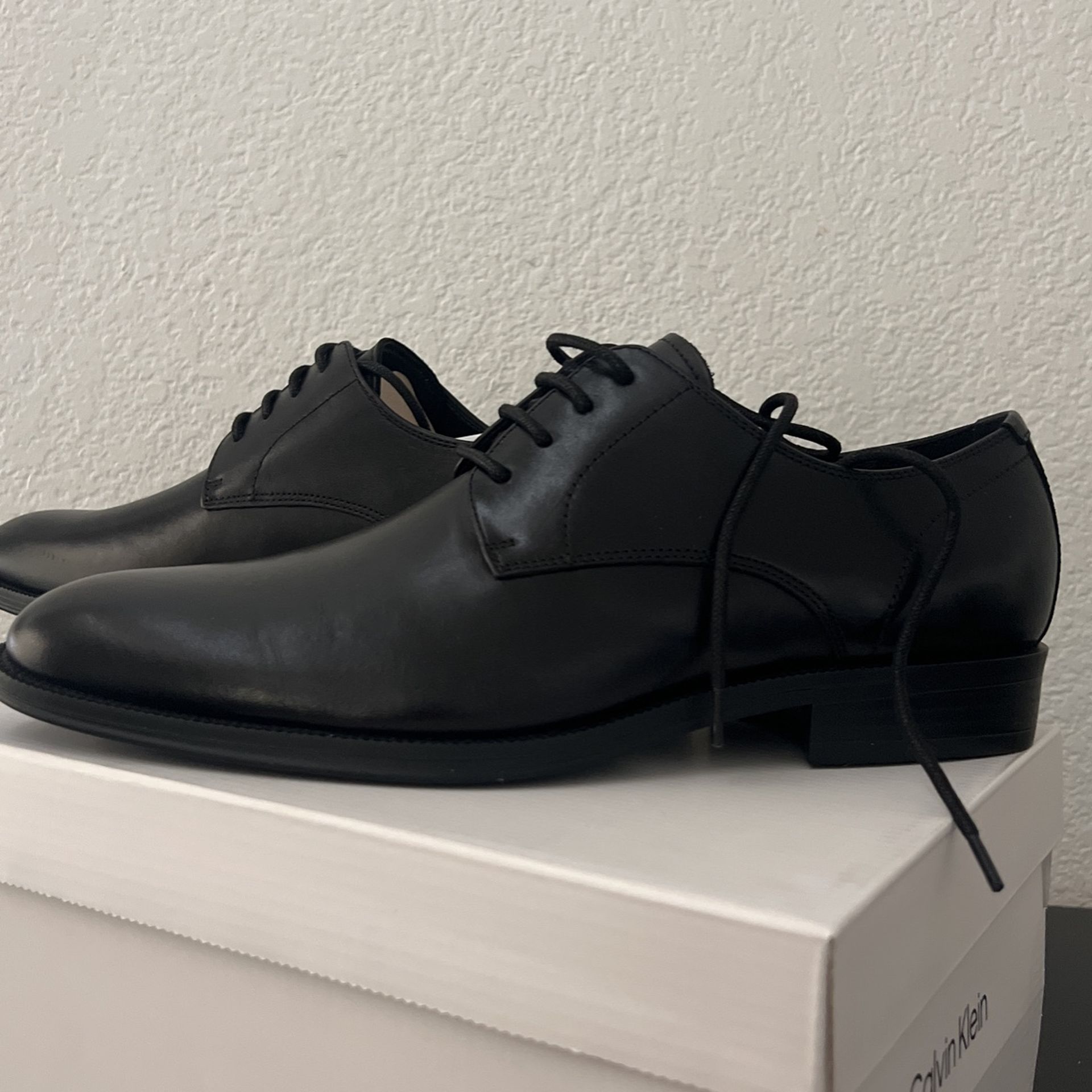Dress shoes brand new never worn BRAND NEW/NEVER WORN Steve Madden dress shoes main image 3