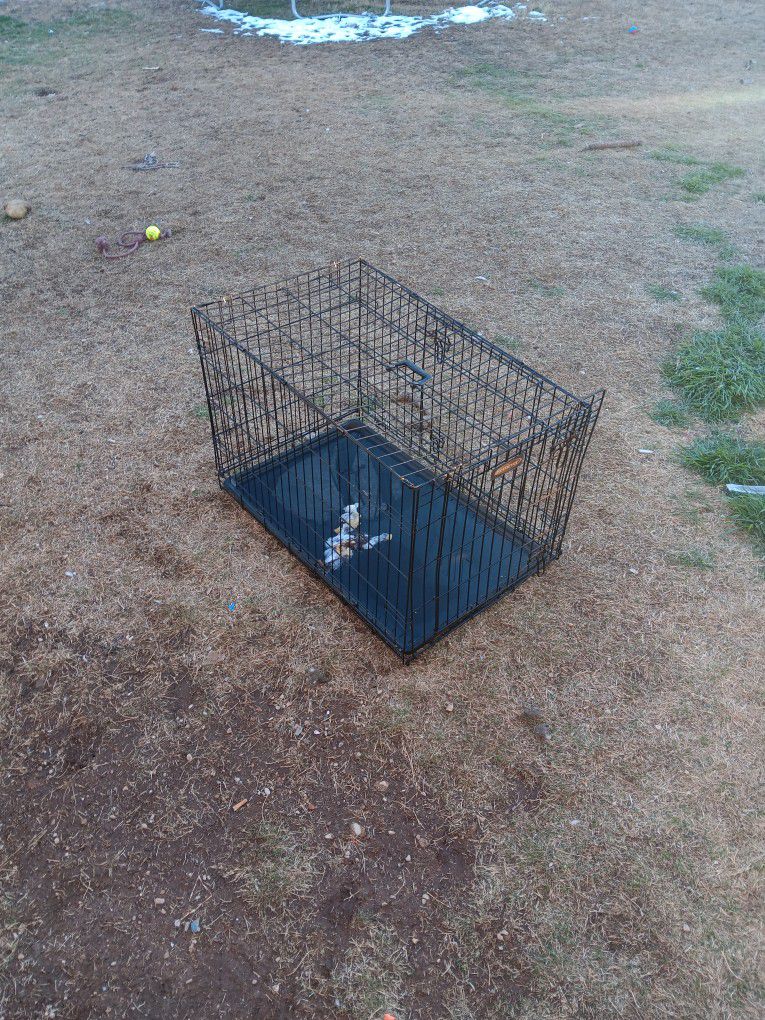 Medium dog cage.