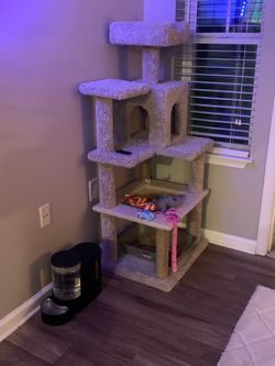 Cat tree and accessories