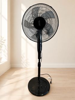 Black pedestal fan