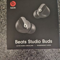 Beats Studio Buds