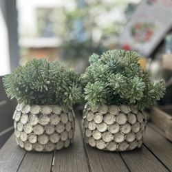 2-Set Plant Decor