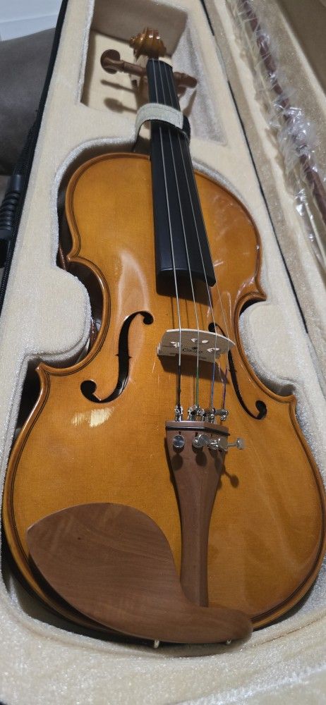 VIOLA TAMAÑO #14 $89