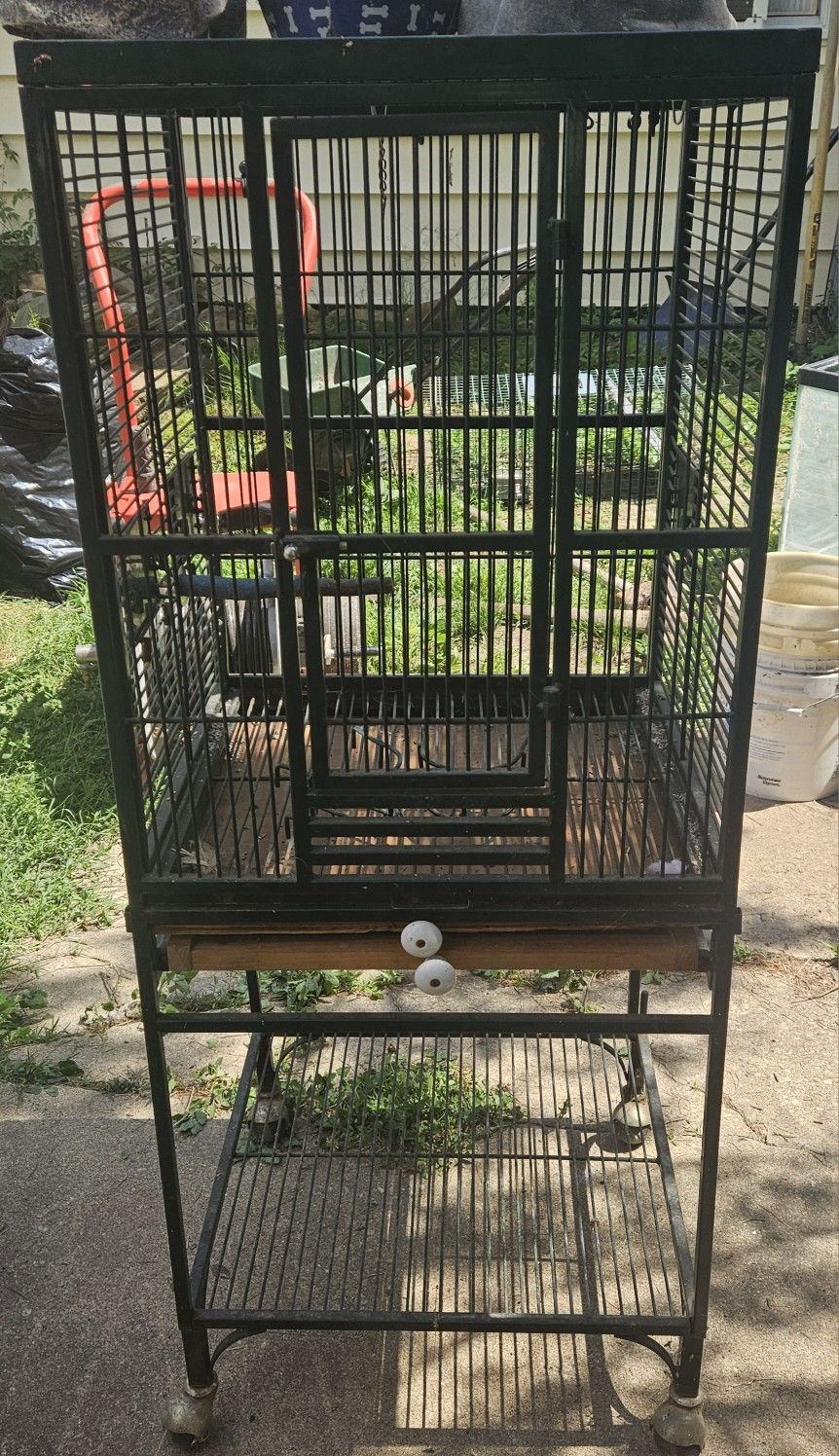 Bird Cage