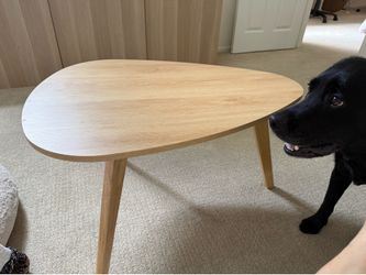 Coffee table (plus my dog, not for sale 🤣)