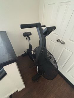 Rogue Echo Bike