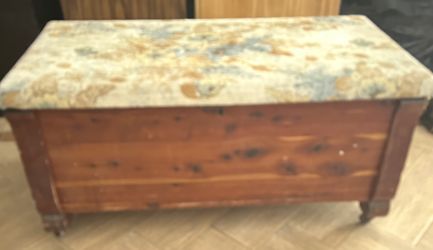 Wood Trunk