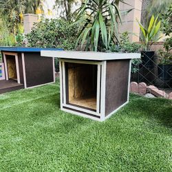 Dog House