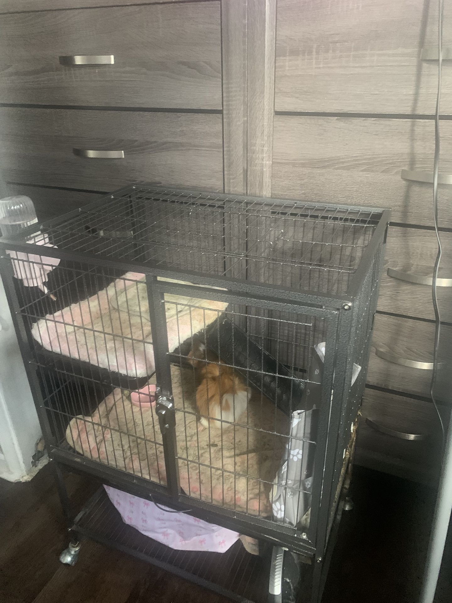 Pet cage!!