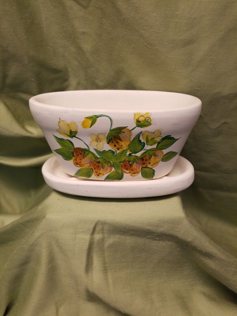 Houseplant Planter With Strawberries