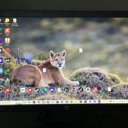 Elitedisplay Hp Monitor