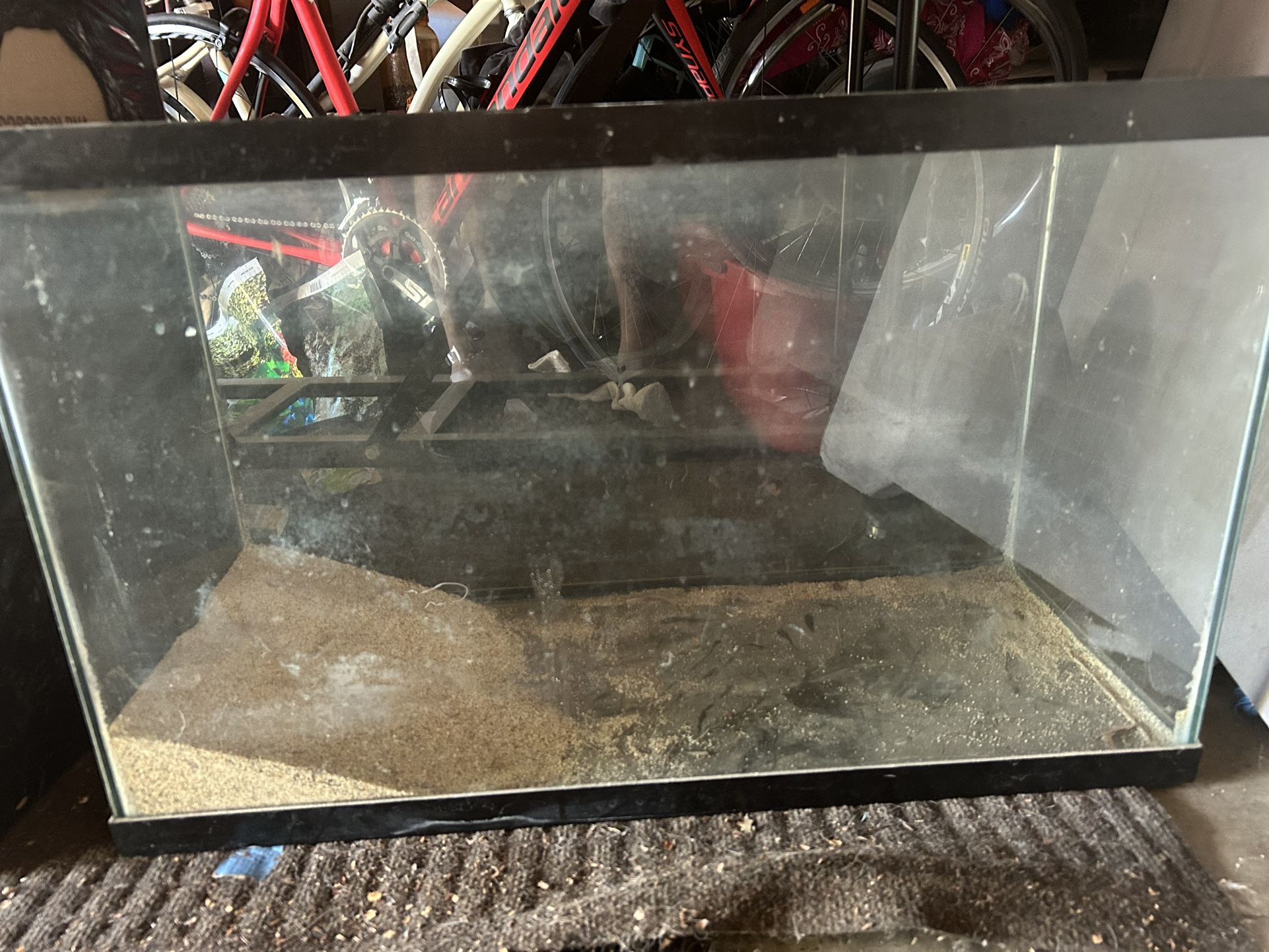 Fishtanks!!!