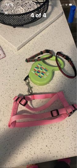 Dog stuff
