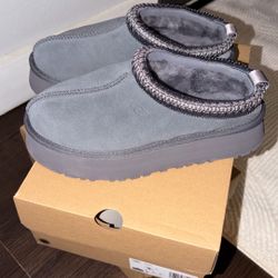 Ugg Tazz II