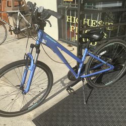 Schwinn Cruiser  Bike 