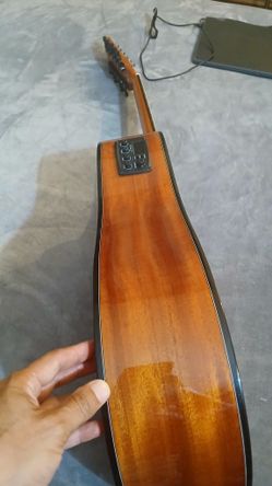 ELECTRIC ACUSTIC GUITAR 12 SRTIM