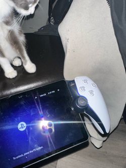 Ps5 portal