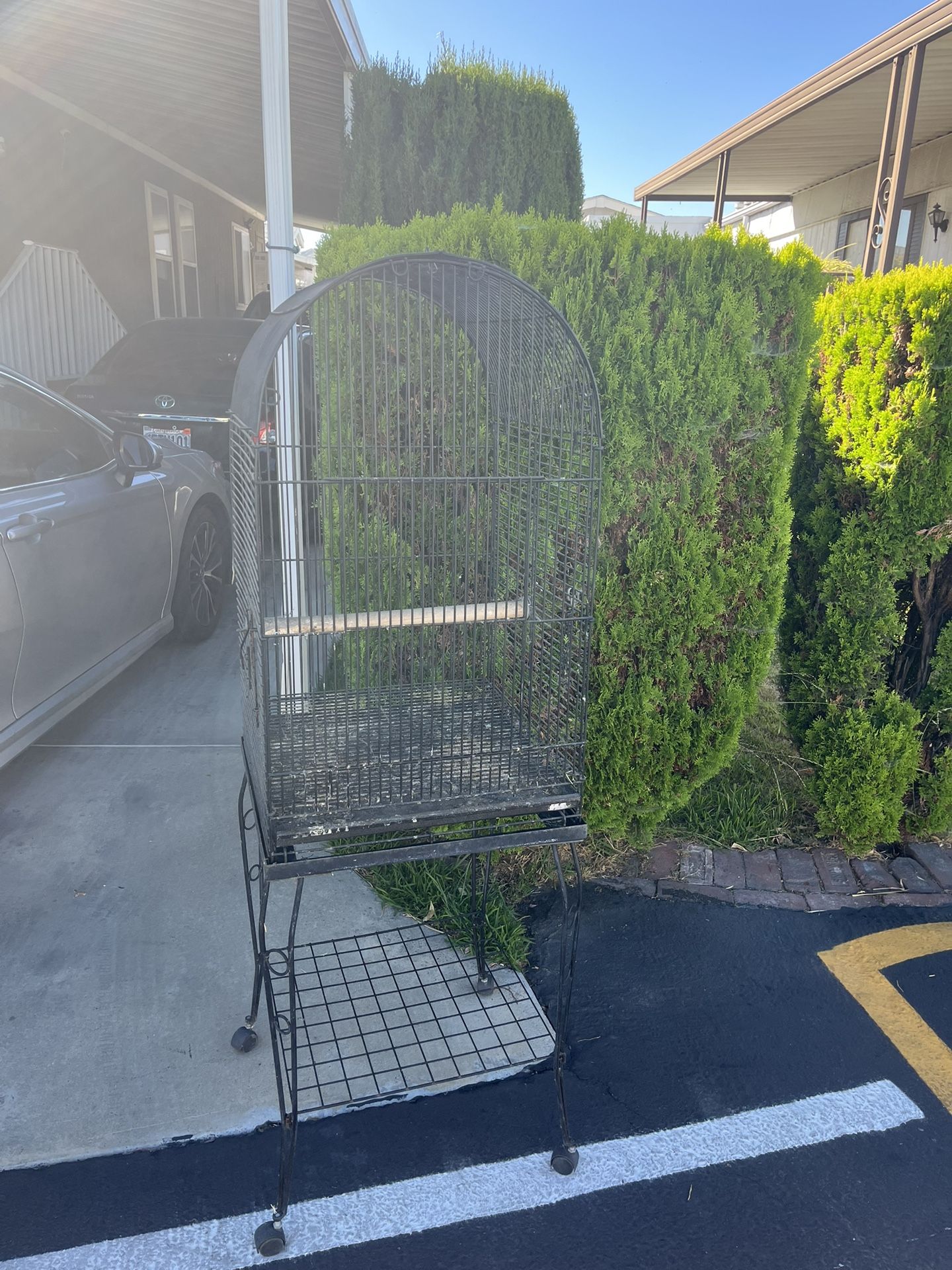 Free Bird Cage 🦜