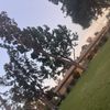 Cali_colections