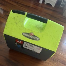 IGLOO Ice Chest