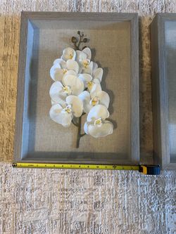 Shadow Frame