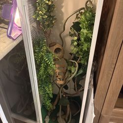 Gecko Accessories Food Small Travel Enclosure