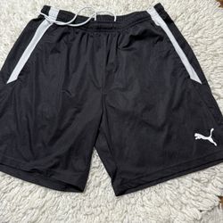 Puma Men’s shorts  Xl on tag