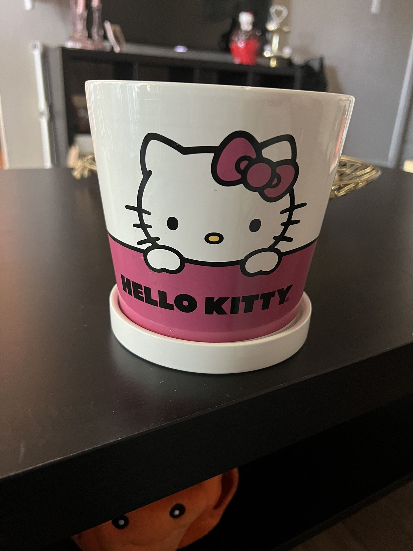 Small Hello Kitty Planter