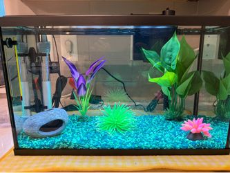 Fish Aquarium  - 10 gallon