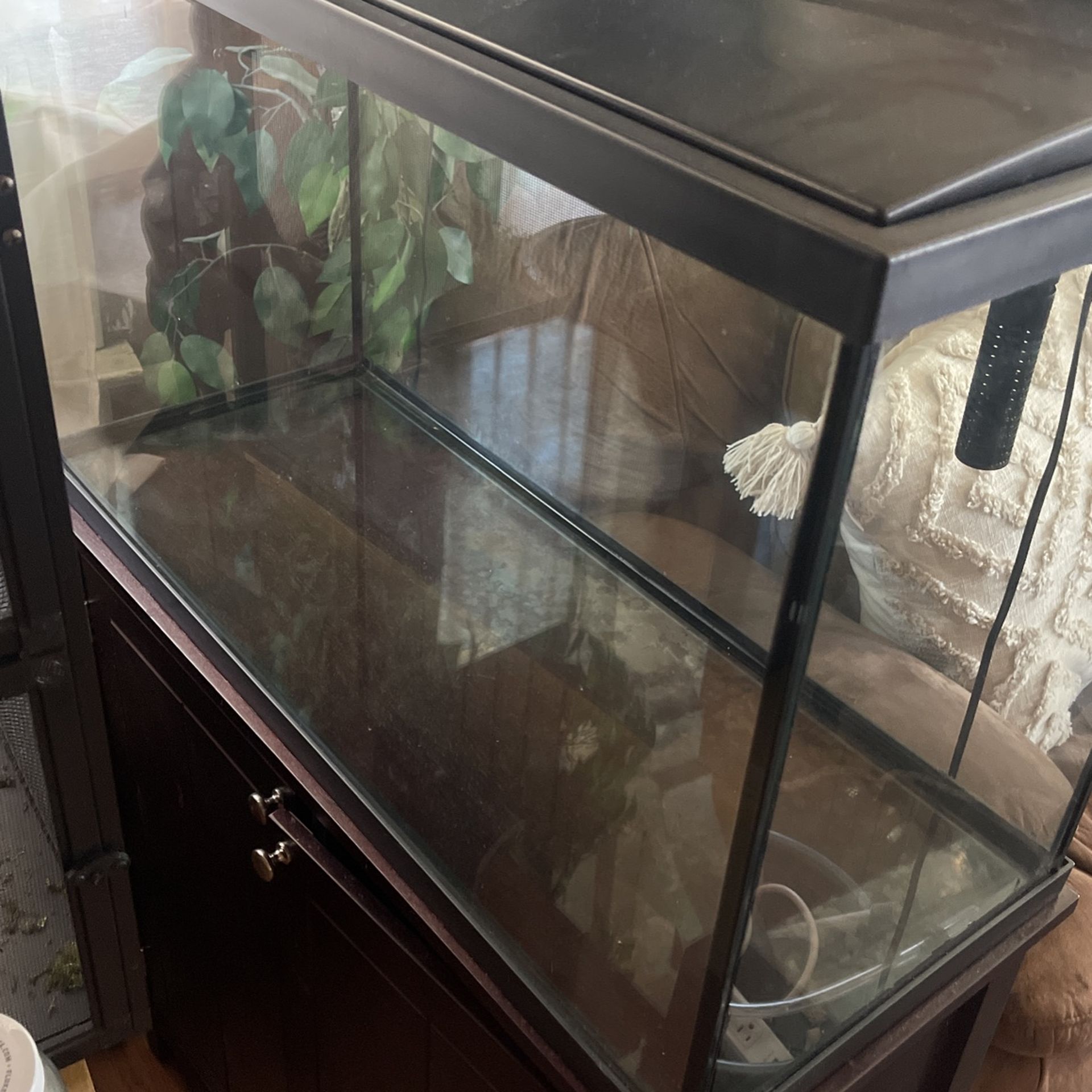 29 Gallon Tank And Stand