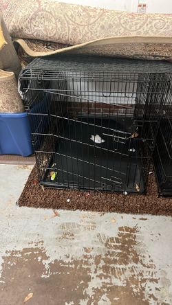 Dog Cage
