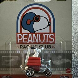 2023 Hot Wheels Pop Culture Peanuts Snoopy Real Riders 