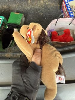 Derby Beanie Baby Mint