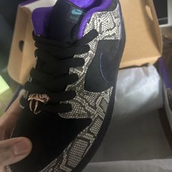 Nike SB Copperhead Dunks Size 10 Men’s