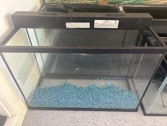 30 gallon tank