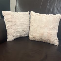 2 Mini Throw Pillows 