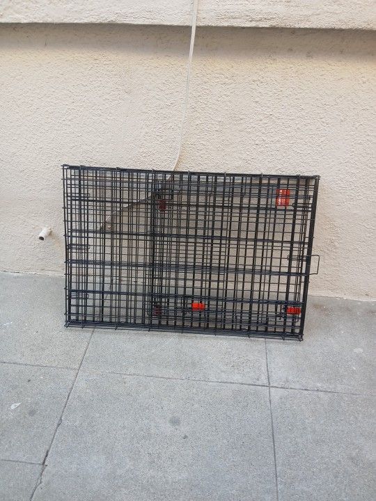 Extra large kennel for a dog and it's called kong