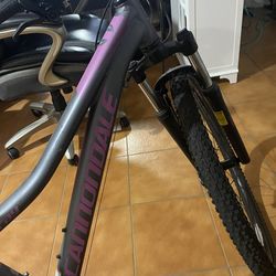 Bicycle Cannondale