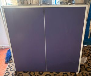 Ping Pong Table