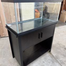 40 Gallon Aquarium And Stand