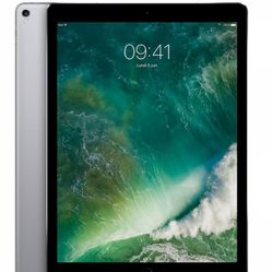Grey iPad 12.9 In H