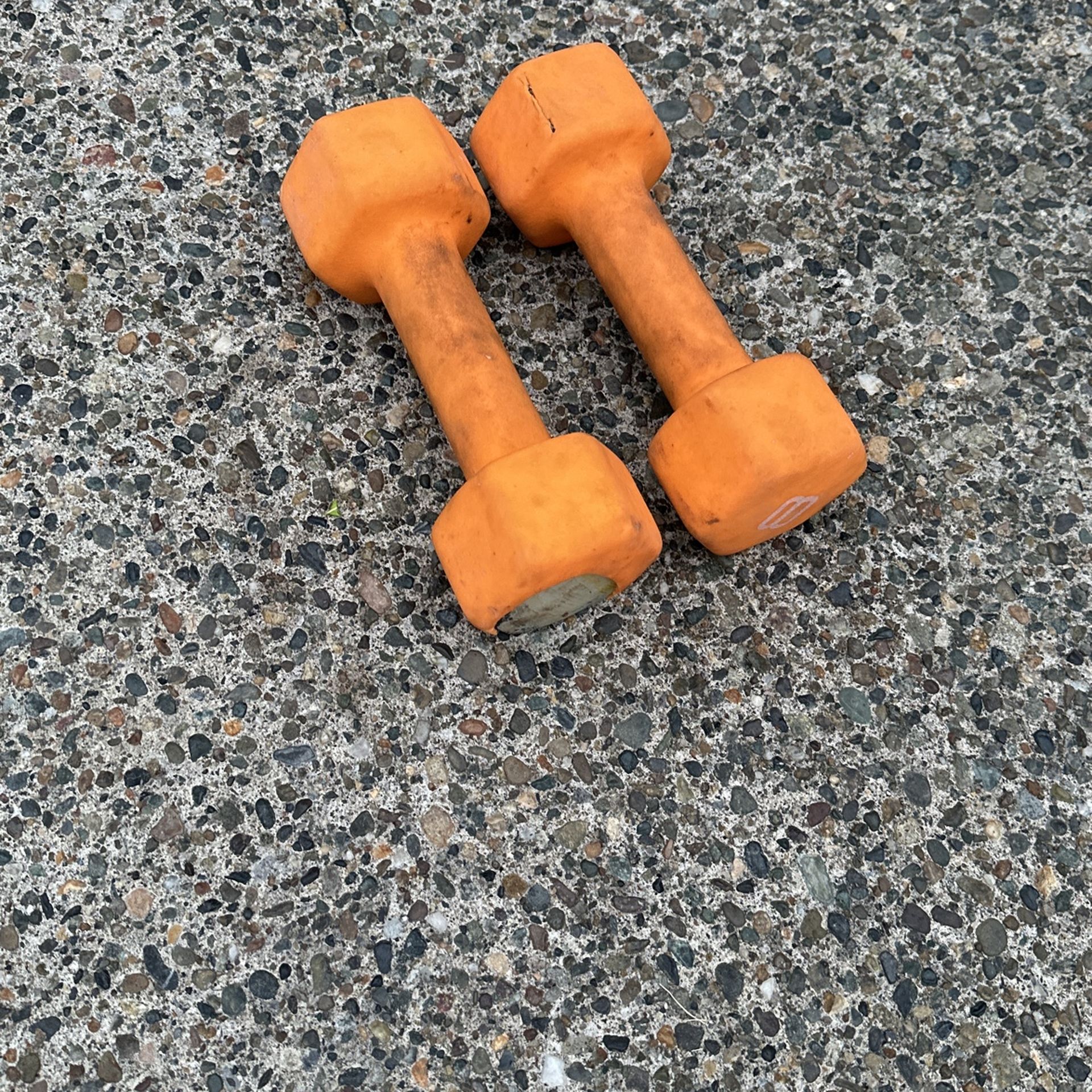 8lb Barbells