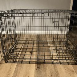 Dog Kennel