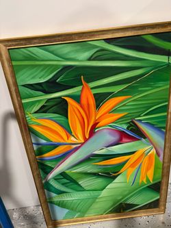 Birds of Paradise Art